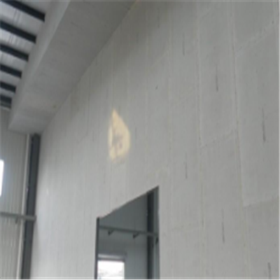 茶陵宁波ALC板|EPS加气板隔墙与混凝土整浇联接的实验研讨